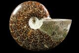 Polished, Agatized Ammonite (Cleoniceras) - Madagascar #88140-1